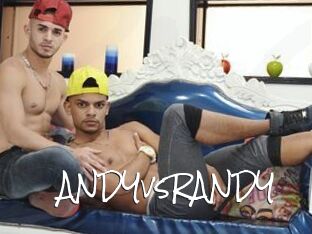 ANDYvsRANDY