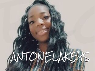 ANTONELAKEYS