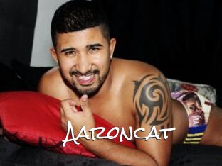 Aaroncat