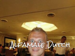 Alfamale_Dutch