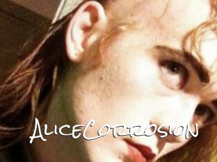 AliceCorrosion