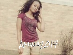 Amina2017