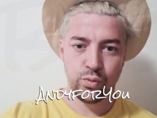 AndyforYou