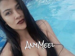 AnyMeel