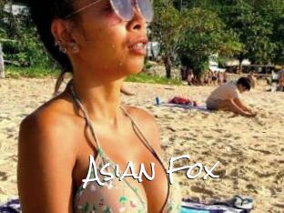 Asian_Fox
