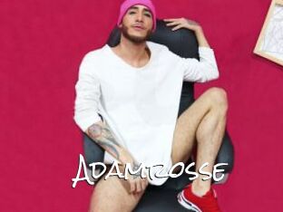 Adamrosse