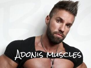 Adonis_muscles