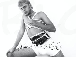 Agnidush66