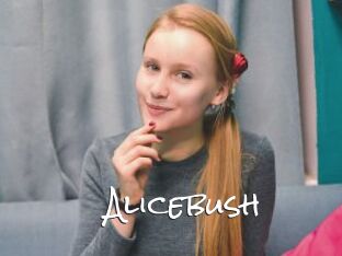 Alicebush