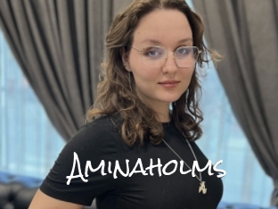 Aminaholms
