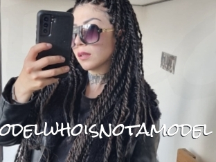 Amodelwhoisnotamodel