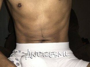 Andresml
