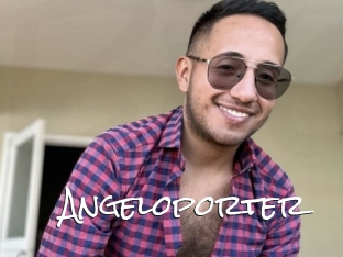 Angeloporter