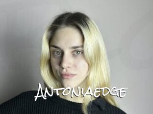 Antoniaedge