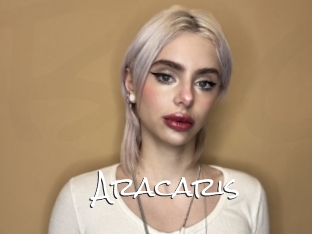 Aracaris