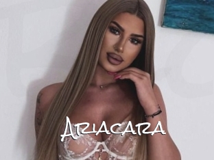 Ariacara