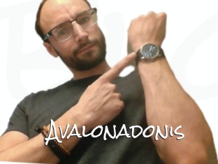 Avalonadonis