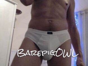 BarepigOWL