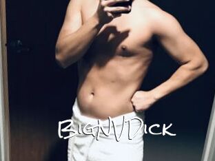 BigNVDick