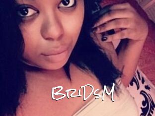 BriDsM