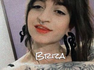 Briza