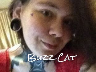 Buzz_Cat