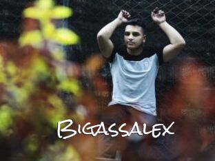 Bigassalex