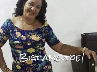 Bigcameltoe1