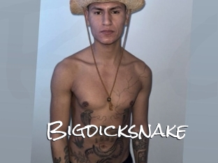 bigdicksnake Blow Cum