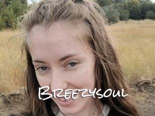 Breezysoul