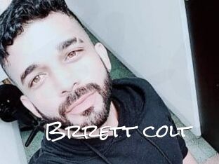 Brrett_colt