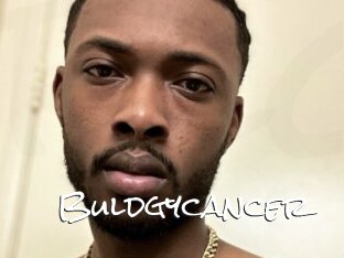 Buldgycancer