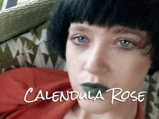 Calendula_Rose