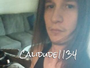 Calidude1134