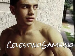 CelestinoGambino