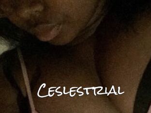 Ceslestrial