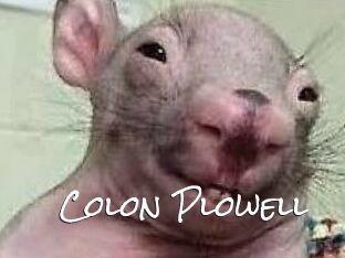 Colon_Plowell