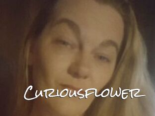 Curiousflower