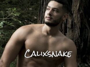 Calixsnake