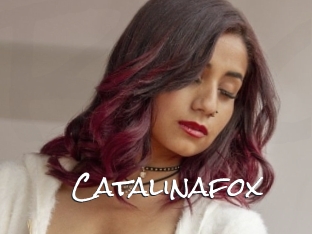 Catalinafox
