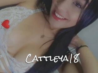Cattleya18