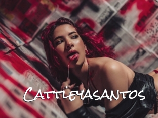 Cattleyasantos