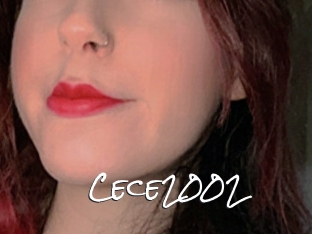 Cece2002