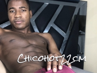 chicohot22cm Blow Cum