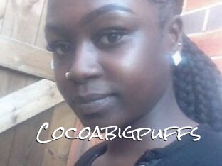 Cocoabigpuffs