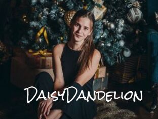 DaisyDandelion