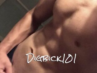 Digbick101