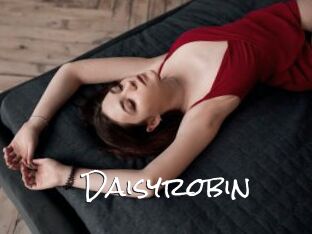 Daisyrobin