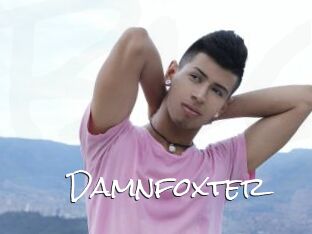 Damnfoxter
