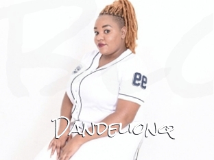 Dandelionq
